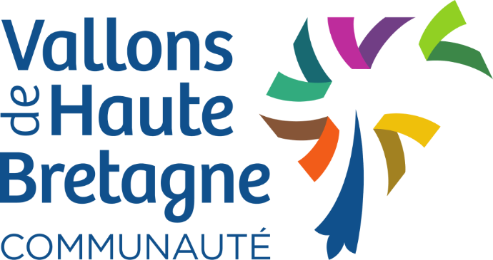 Ramonage par votre ramoneur des conduits bois, granulés, fioul, gaz dans le 35, Ille et Vilaine